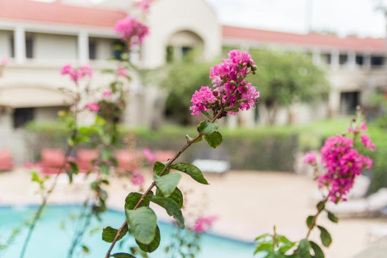 Vineyard Court Designer Suites Hotel College Station Luaran gambar